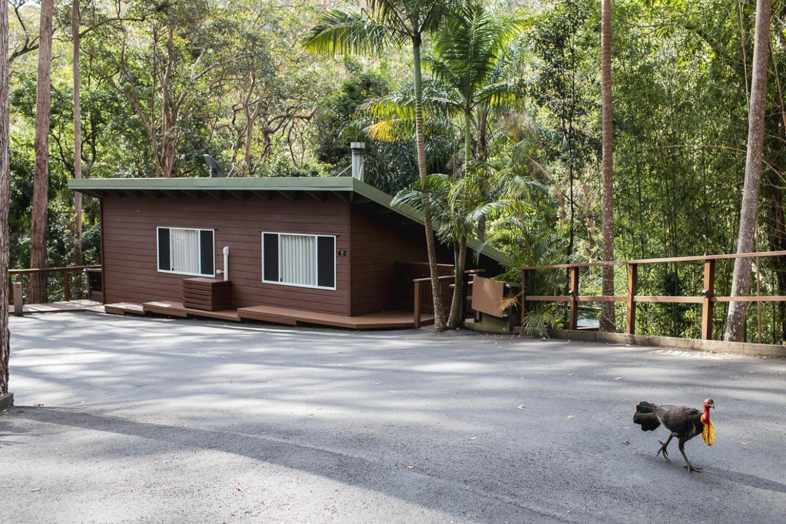 Kondalilla Eco Resort 3*