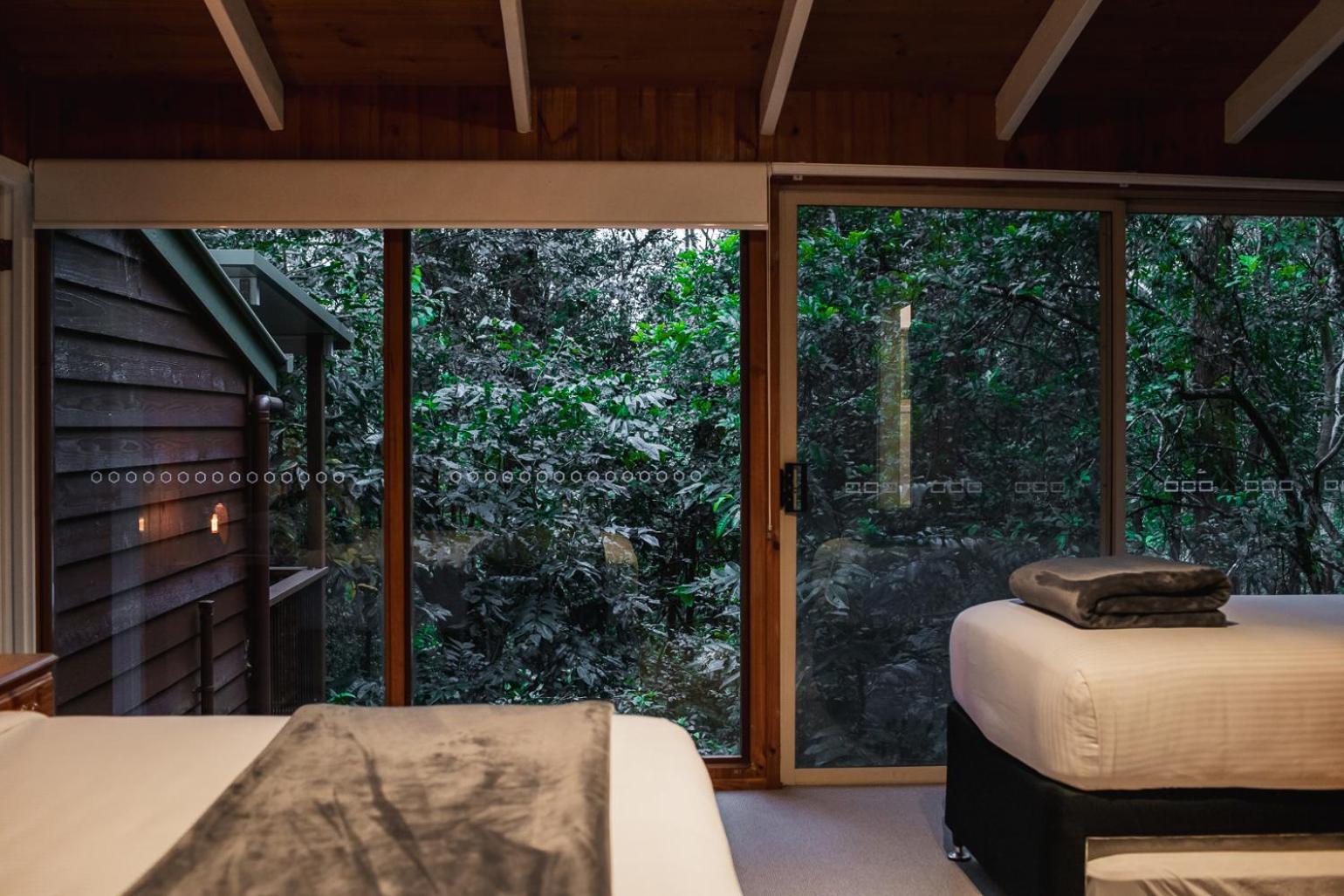 Kondalilla Eco Montville