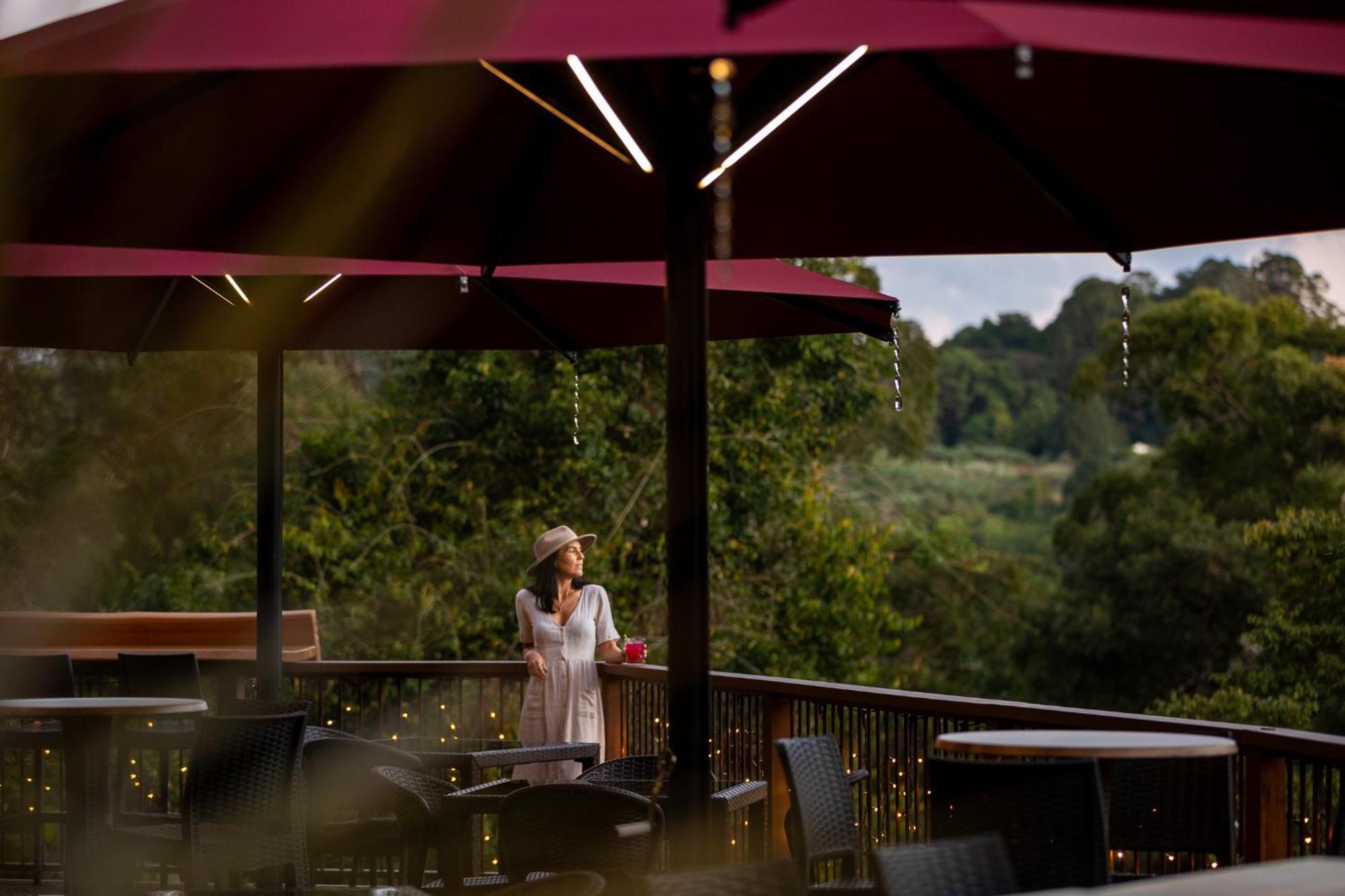 Kondalilla Eco Resort Montville