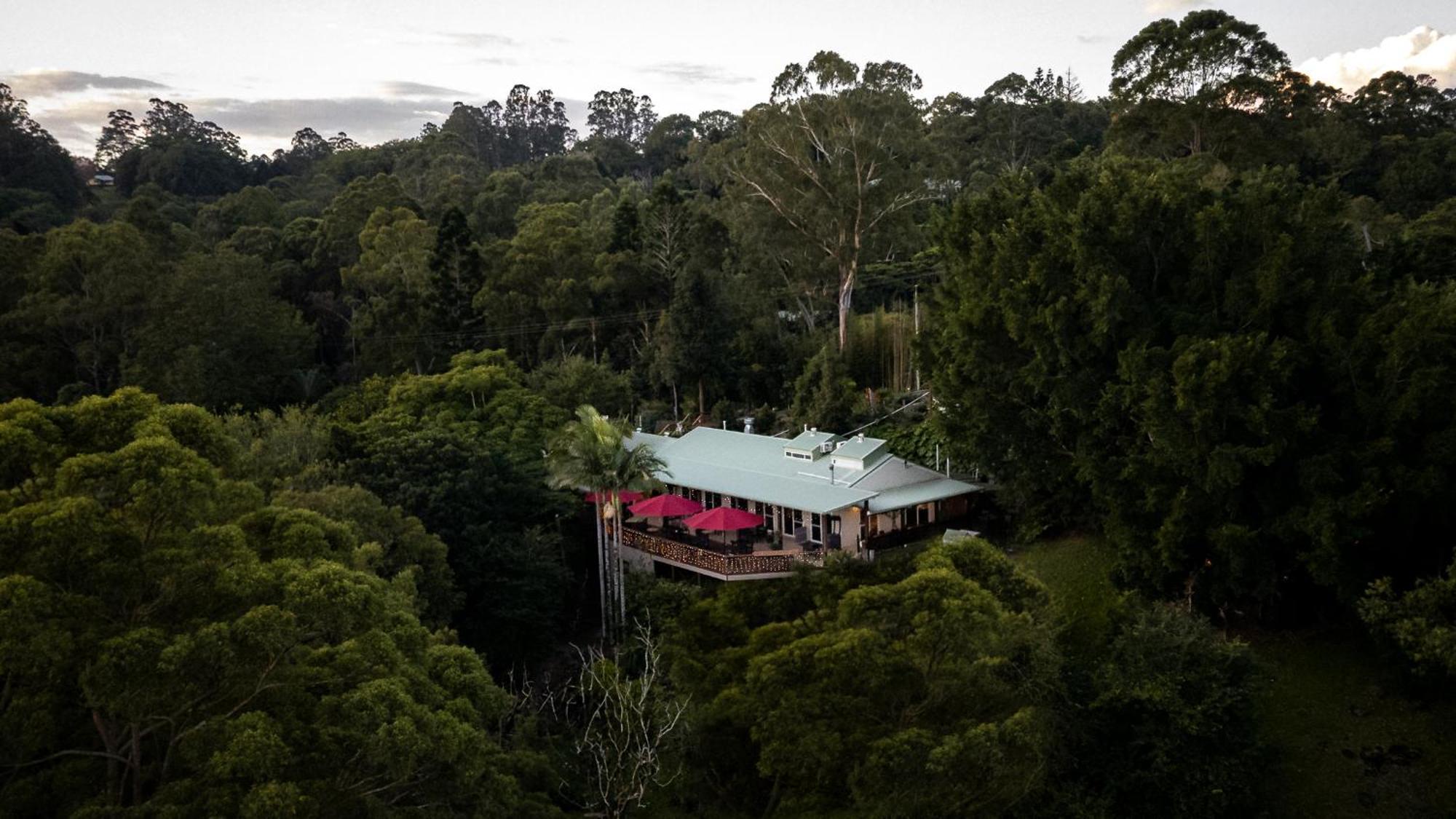 Kondalilla Eco Montville