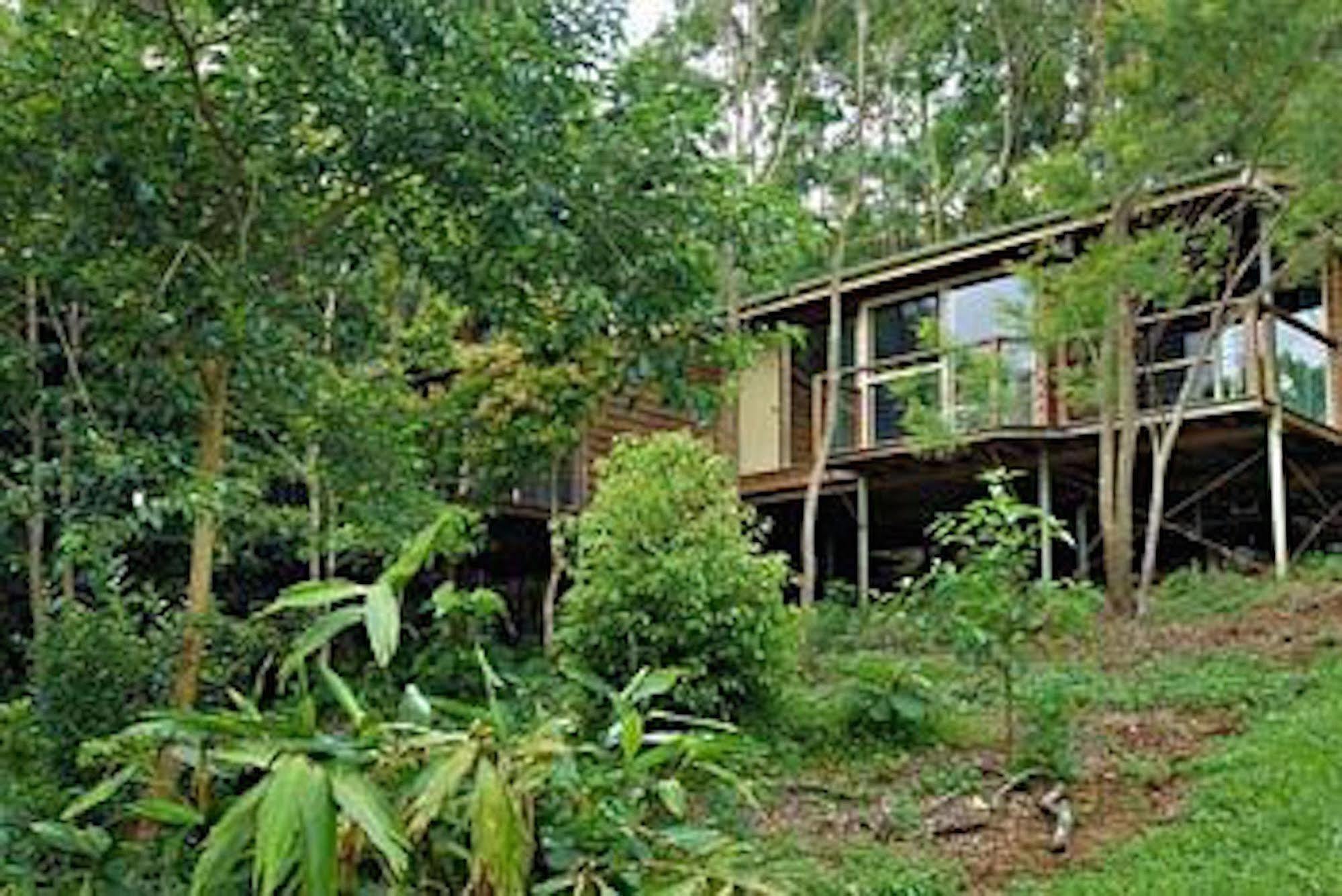 Resort Kondalilla Eco Montville